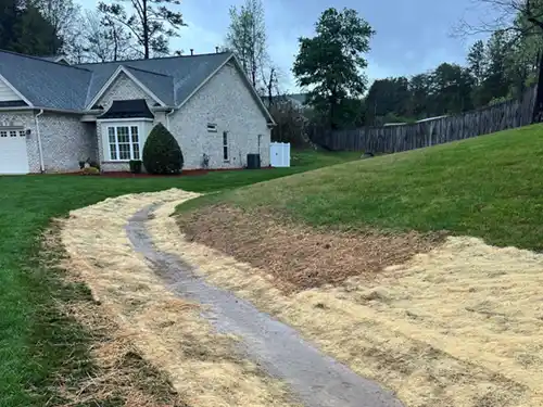 Yard Drainage